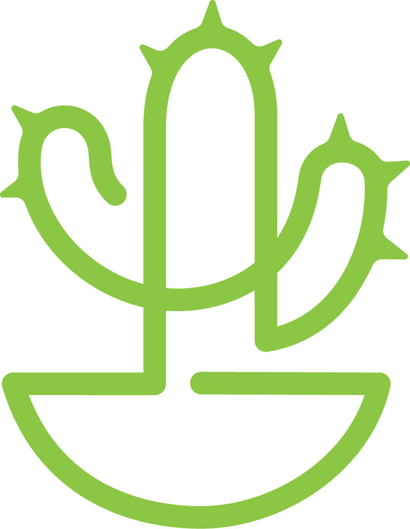 Tiny Cactus website design